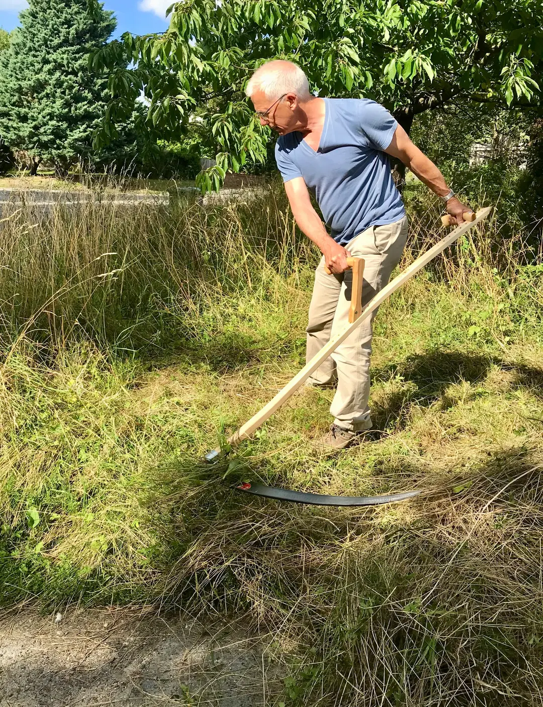 Edward Gildea, in a blue T-shirt, cutting long meadow grass with a scythe under a tree.